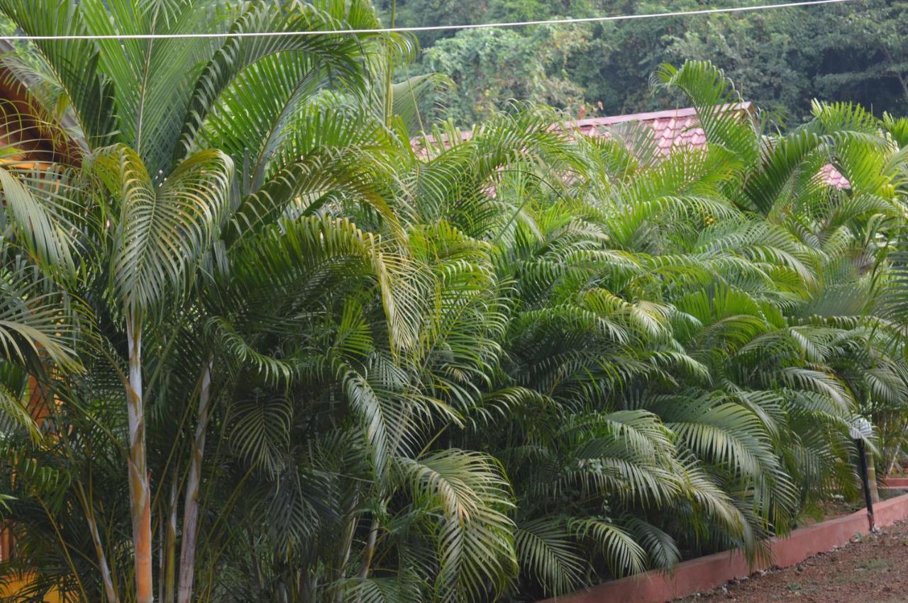 Kings Villa Resort Palolem Exterior foto