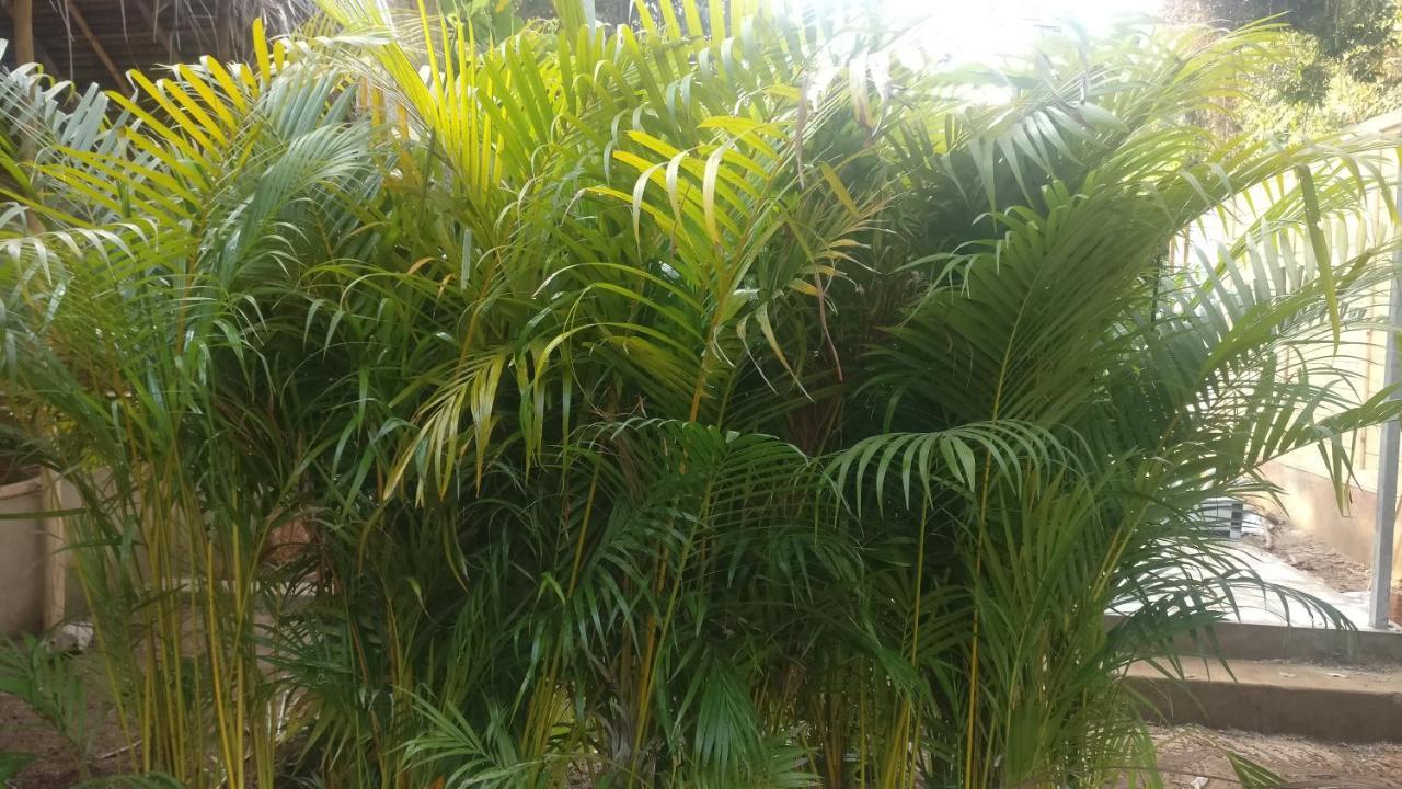 Kings Villa Resort Palolem Exterior foto